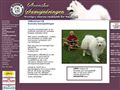 Puppies for sale from http://www.samojedringen.se/