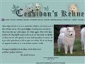 Puppies for sale from http://www.cessibonskennel.net/