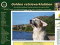 Puppies for sale from http://www.goldenklubben.com