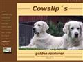 Puppies for sale from http://www.cowslip.nu/