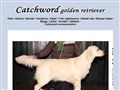 Puppies for sale from http://www.catchword.se