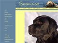 Puppies for sale from http://www.rossmix.com/