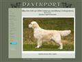 Puppies for sale from http://www.davenport.nu/