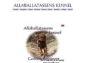 Puppies for sale from http://www.allaballatassens.com/