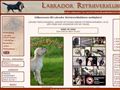Puppies for sale from http://www.labradorklubben.se