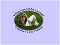Puppies for sale from http://www.shih-tzu.nu/