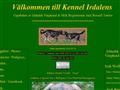 Puppies for sale from http://www.irdalens.com