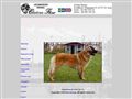 Puppies for sale from http://www.kennelchateaufleur.com
