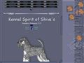 Puppies for sale from http://www.spirit-of-shiva.com