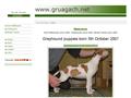 Puppies for sale from http://www.gruagach.net