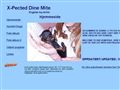 Puppies for sale from http://www.engelsk-toy-terrier.no