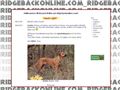 Puppies for sale from http://ridgebackonline.com
