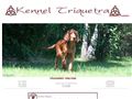 Puppies for sale from http://www.redsetter.dk
