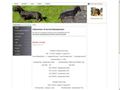 Puppies for sale from http://www.kennel-nissebanden.dk/
