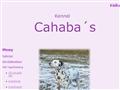 Puppies for sale from http://www.cahabas.se