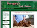 Puppies for sale from http://www.caemgens.nl