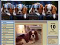 Puppies for sale from http://www.tillpix.se