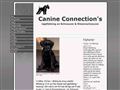 Puppies for sale from http://www.canineconnections.se