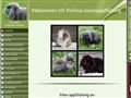Puppies for sale from http://www.pellina.se/19725501