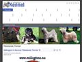 Puppies for sale from http://www.milingtons.nu