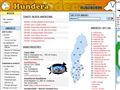 Puppies for sale from http://www.hundera.se/annonser/hundar/valpar/760.asp