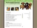 Puppies for sale from http://www.klackebos-kennel.com/pg/foto_valpar_zoom.asp?PhotoID=7&ei=Bxe9SeSBL4mMsAOZ2oQ3&sa=X&oi=translate&resnum=5&ct=result&prev=/search?q=taxvalpar&hl=en&lr=&start=300&num=100
