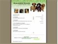 Puppies for sale from http://www.klackebos-kennel.com/pg/foto_valpar_zoom.asp?PhotoID=7&ei=Che9SeeZK5KasAPXn9A9&sa=X&oi=translate&resnum=5&ct=result&prev=/search?q=taxvalpar&hl=en&lr=&start=800&num=100