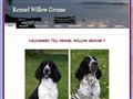 Puppies for sale from http://www.willowgrouse.com/index.php?option=com_content&task=view&id=10&Itemid=13