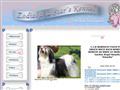 Puppies for sale from http://www.bichonhavanais.nu/valpar.html