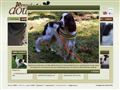 Puppies for sale from http://www.dowitis.se/index.php?pg=5&ei=BBy9SfKnCoKOsQO39NUw&sa=X&oi=translate&resnum=22&ct=result&prev=/search?q=kennel++valpar&hl=en&lr=&start=200&num=100