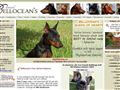 Puppies for sale from http://www.bellocean.com/valpar/07-valpar-start.html