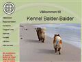 Puppies for sale from http://www.balder-balder.se/kullmapp_4/linde_text1.htm