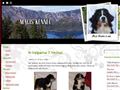 Puppies for sale from http://www.macis.nu/
