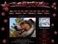 Puppies for sale from http://www.racystar.com/