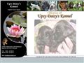 Puppies for sale from http://www.upsydaisy.se/