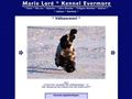 Puppies for sale from http://www.kennel-evermore.com/frost2.htm