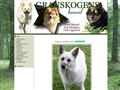 Puppies for sale from http://www.granskogens.se/index.asp?sida=valpar