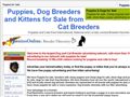 Puppies for sale from http://www.pawsitesonline.com/