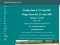 Puppies for sale from http://www.blaesborgs-ches.dk