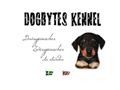 Puppies for sale from http://www.dogbytes.se/arishasvalpar09.htm