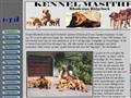 Puppies for sale from http://www.masithela.com