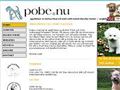 Puppies for sale from http://pobe.nu/valpar.html