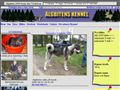 Puppies for sale from http://www.algbitens.se/aghund.aspx