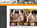 Puppies for sale from http://parson.nu/index.php/951845