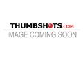 Puppies for sale from http://3dir.co.uk/directory/category/manufacturers/index.php