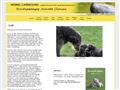 Puppies for sale from http://www.hundepaedagogen.dk
