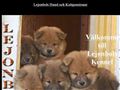 Puppies for sale from http://www.lejonbols.info