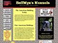 Puppies for sale from http://www.bulldogz.net/