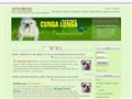 Puppies for sale from http://www.cungalunga.net/modules/news/
