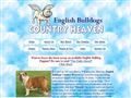 Puppies for sale from http://www.englishbulldogscountryheaven.com/
